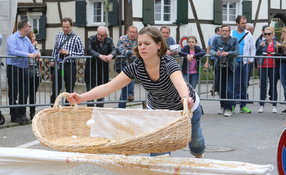 eierlaeset2016 1